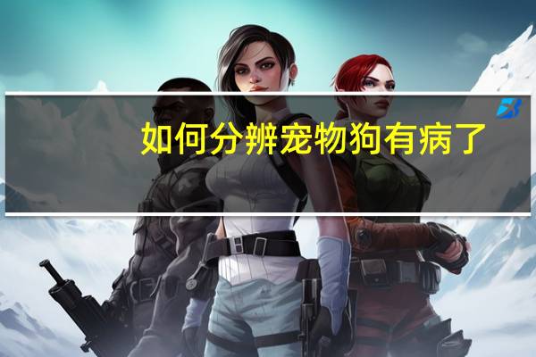 如何分辨宠物狗有病了
