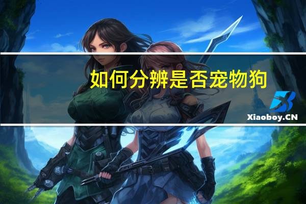 如何分辨是否宠物狗