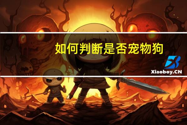 如何判断是否宠物狗