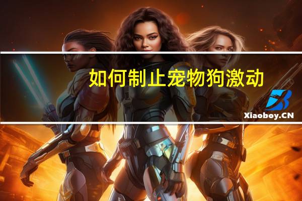 如何制止宠物狗激动