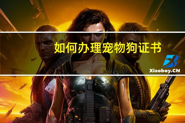 如何办理宠物狗证书