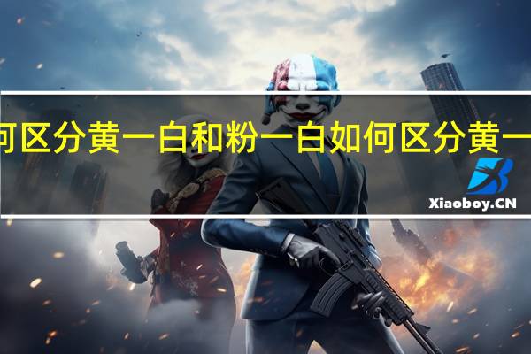如何区分黄一白和粉一白 如何区分黄一白黄二白