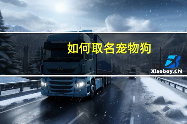 如何取名宠物狗