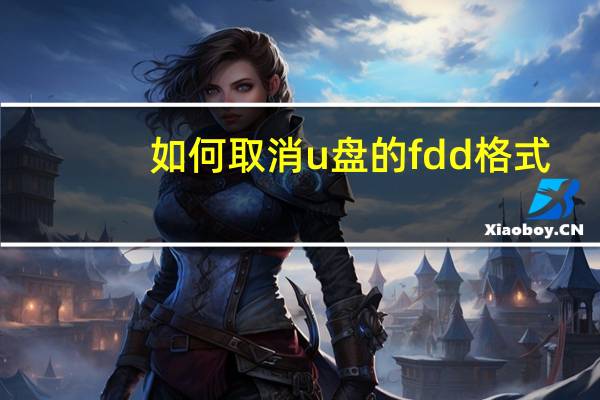 如何取消u盘的fdd格式（如何取消u盘写保护）