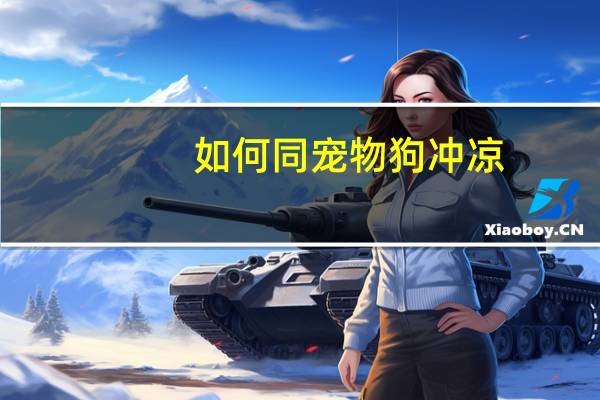 如何同宠物狗冲凉