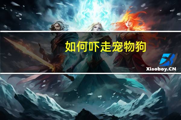 如何吓走宠物狗