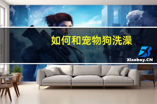 如何和宠物狗洗澡