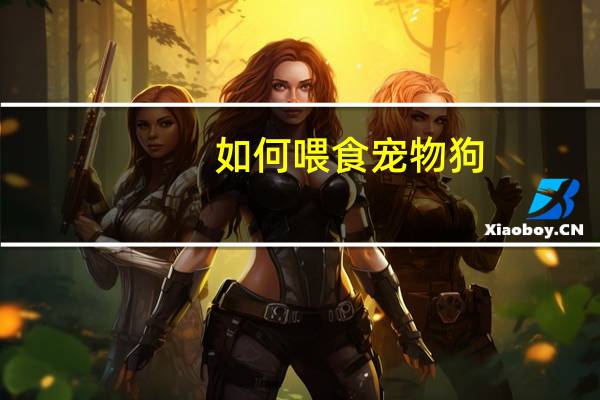 如何喂食宠物狗