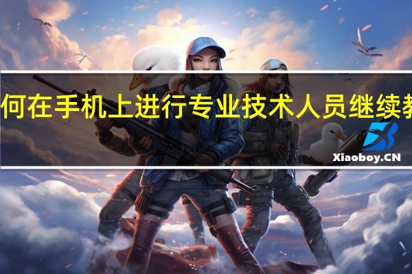 如何在手机上进行专业技术人员继续教育培训
