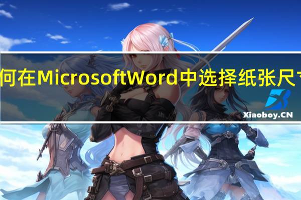 如何在Microsoft Word中选择纸张尺寸和方向