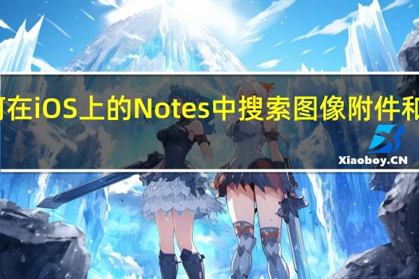 如何在iOS上的Notes中搜索图像附件和扫描文档