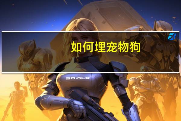 如何埋宠物狗