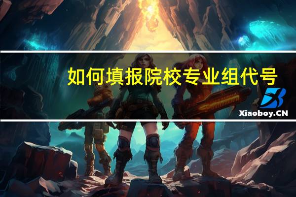 如何填报院校专业组代号