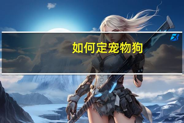 如何定宠物狗