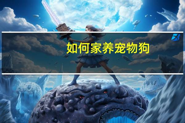 如何家养宠物狗