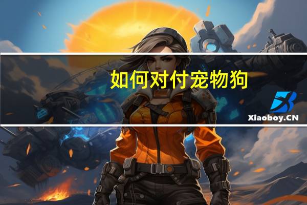如何对付宠物狗