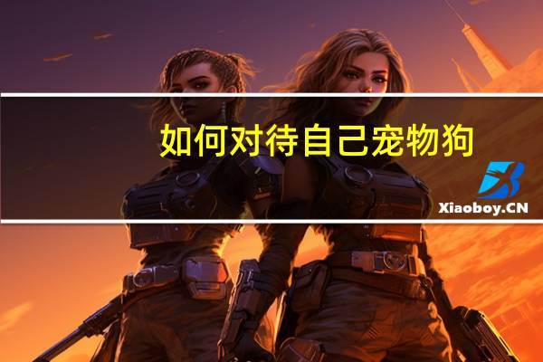 如何对待自己宠物狗