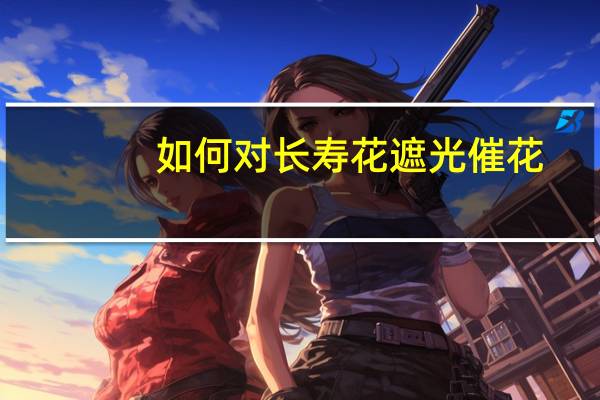 如何对长寿花遮光催花