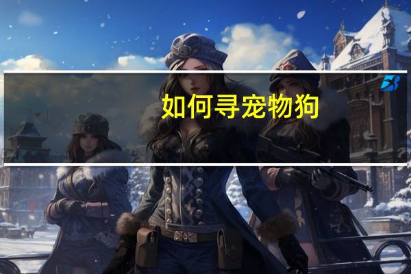 如何寻宠物狗