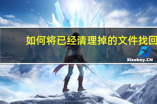 如何将已经清理掉的文件找回（怎么恢复删除的文件）