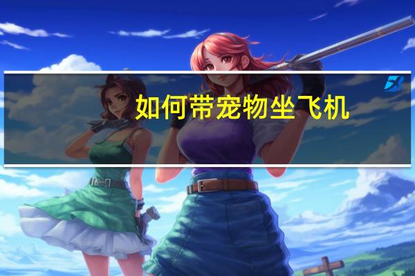 如何带宠物坐飞机
