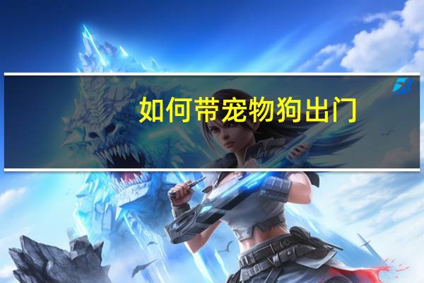 如何带宠物狗出门