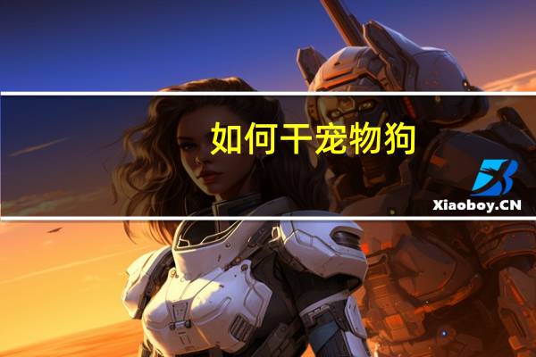 如何干宠物狗
