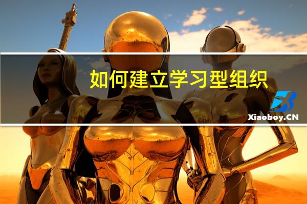 如何建立学习型组织