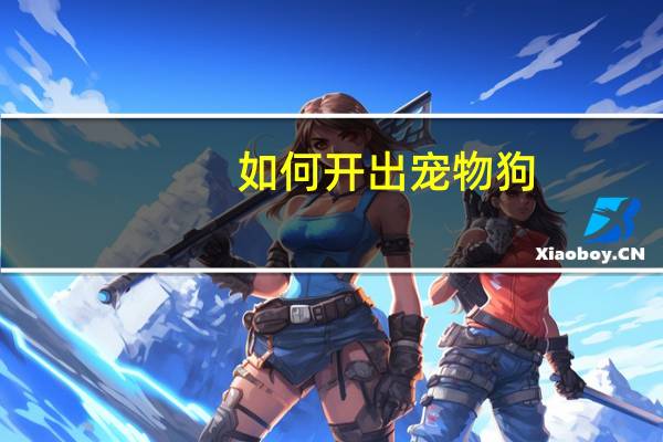 如何开出宠物狗