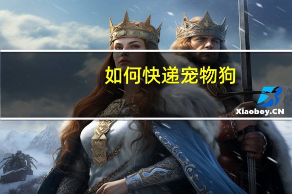 如何快递宠物狗