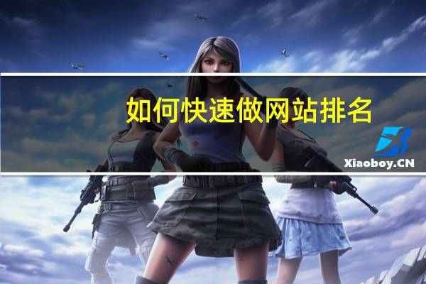 如何快速做网站排名