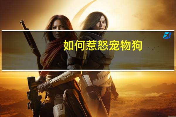 如何惹怒宠物狗