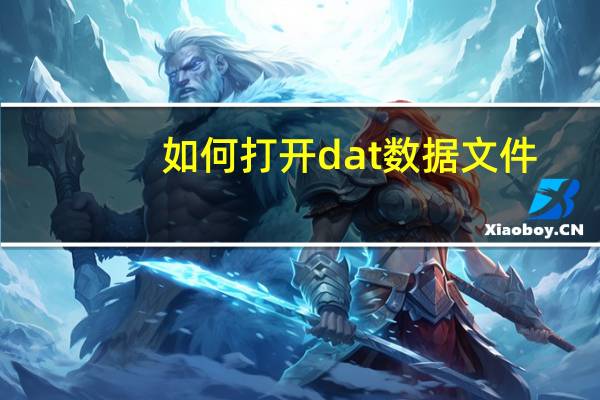 如何打开dat数据文件