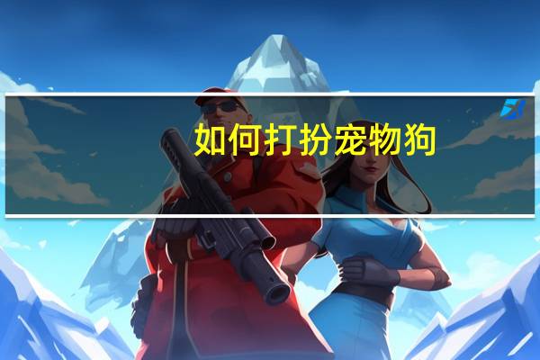 如何打扮宠物狗