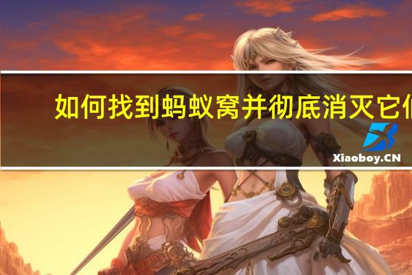如何找到蚂蚁窝并彻底消灭它们