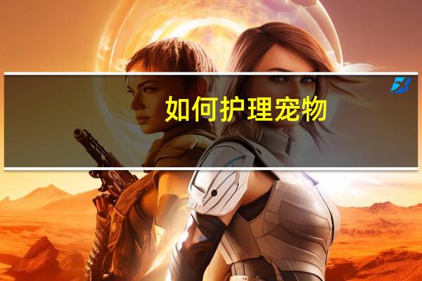 如何护理宠物
