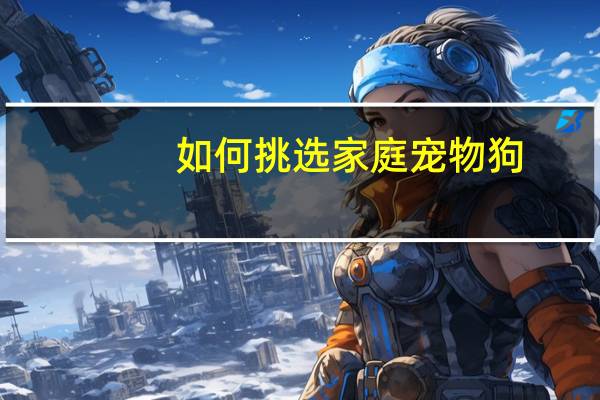 如何挑选家庭宠物狗
