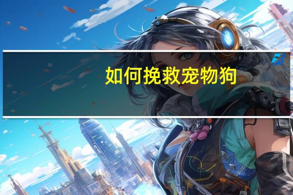 如何挽救宠物狗