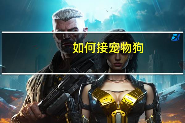 如何接宠物狗