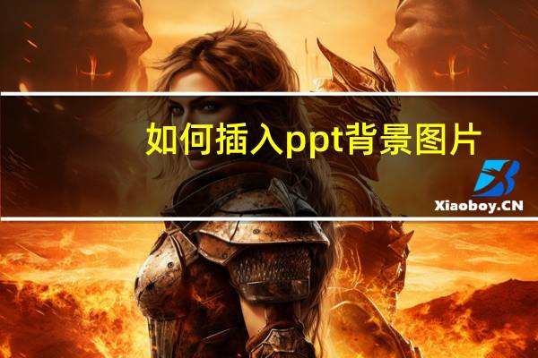 如何插入ppt背景图片