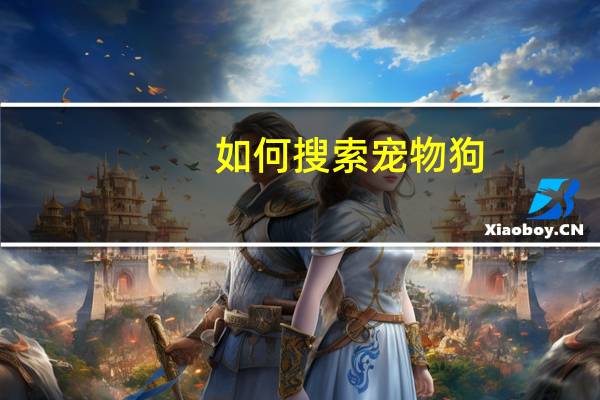 如何搜索宠物狗