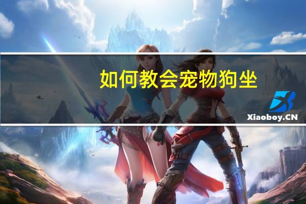 如何教会宠物狗坐