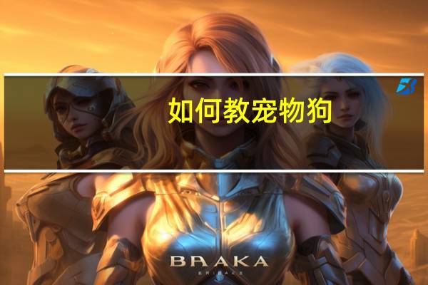 如何教宠物狗