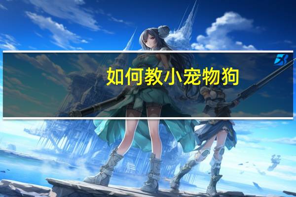 如何教小宠物狗