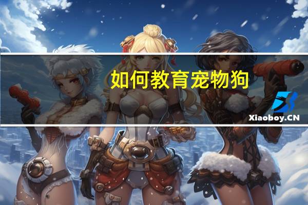 如何教育宠物狗