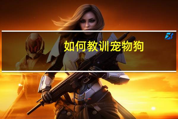 如何教训宠物狗
