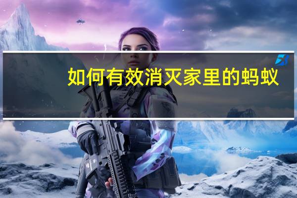 如何有效消灭家里的蚂蚁