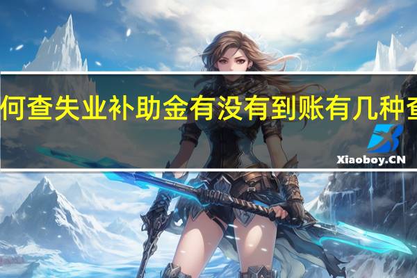 如何查失业补助金有没有到账　有几种查询方式