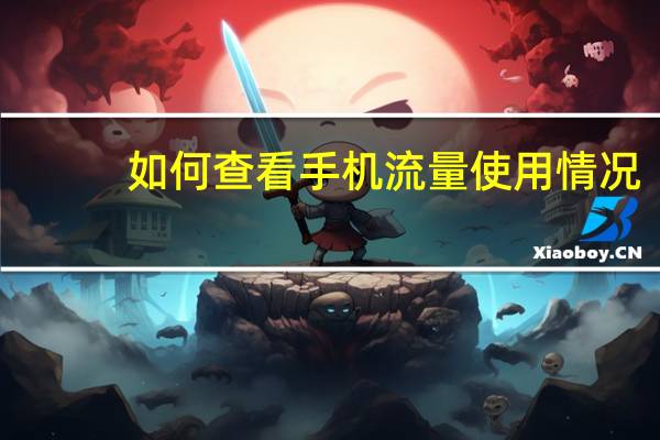 如何查看手机流量使用情况(如何查看手机流量)