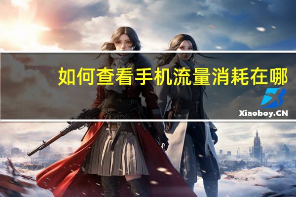 如何查看手机流量消耗在哪（如何查看手机流量）